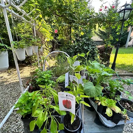 La Bugia Di Tanzi 3* Parma