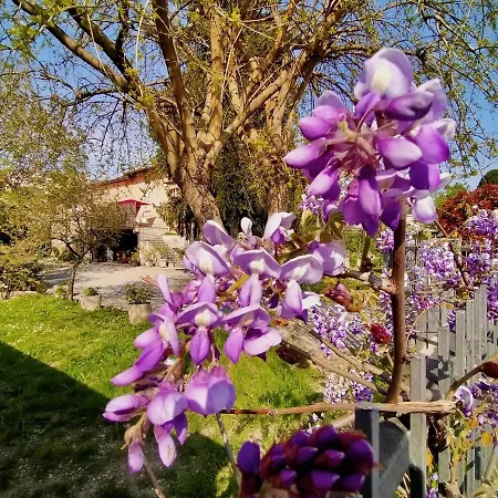 La Bugia Di Tanzi Alojamento de Acomodação e Pequeno-almoço 3*