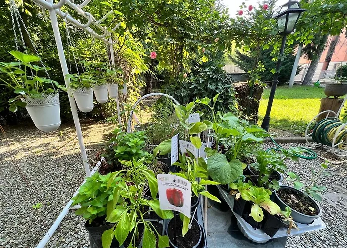 La Bugia Di Tanzi 3* Parme